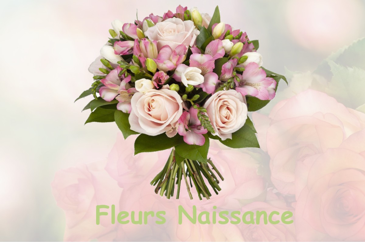 fleurs naissance LA-ROCHE-POSAY